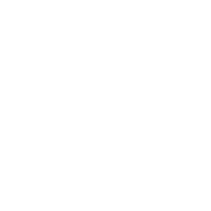 Thai Numeral